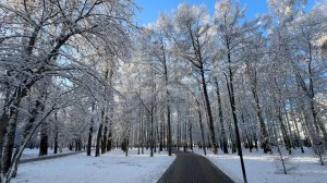 Первый снег в парке Пушкина. Нижний Новгород. 16.11.2025