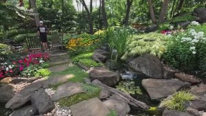 САДЫ США ОДИН ИЗ САМЫХ КРАСИВЫХ ЧАСТНЫХ САДОВ, ГЛАЗАМИ САДОВНИКА