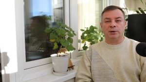 Стихи с балкона. Выпуск #25. Хаш