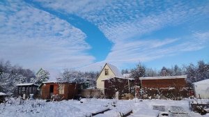 ПОСЛЕДНИЙ ДАЧНЫЙ ВЛОГ: САЖАЮ ОЗИМЫЕ МОРКОВЬ И ЛУК 60/2025