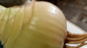 1000016828.mp4Мои махровые новинки 🎉🎉🎉