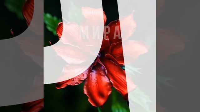 Поздравляем тебя ....