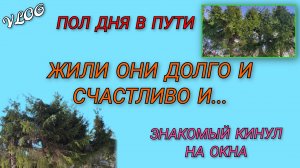 🍒Пол дня в пути/ Затопили участок/ Жили они долго и счастливо и.../ Рыба на мангале/ Кинули на окна