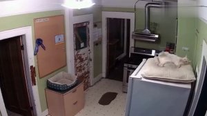 Смех до слёз.