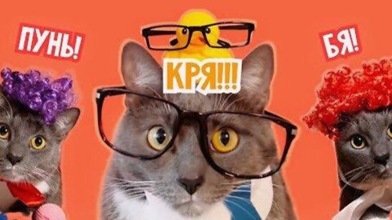 ЕСЛИ БЫ КОТИКИ ХОДИЛИ В ШКОЛУ - ОПЯТЬ НА УЧЕБУ!