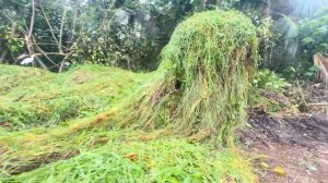 Очистка реки от водорослей с помощью экскаватора амфибии.