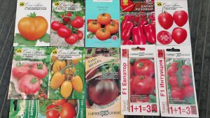 Томаты устойчивые к кладоспориозу ожидания и результат Семена на 2026 год.