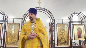 Проповедь в неделю 23-ю по Пятидесятнице.(16.11.2025).Протоиерей Димитрий Нестеренко.