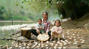 Собираем утиные яйца для продажи на рынке. Готовлю яйца для маленькой дочери. Жизнь во Вьетнаме