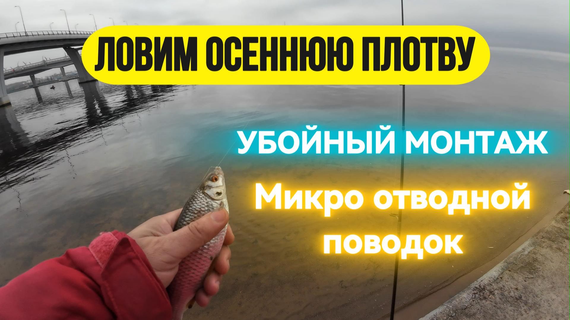 | 100% метод ловли плотвы на спиннинг| УБОЙНЫЙ МОНТАЖ - МИКРО ОТВОДНОЙ ПОВОДОК |