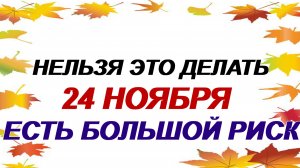 24 ноября. Федор Мороз: что еще нужно сделать.