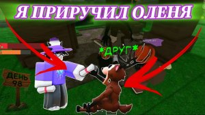 Я ПРИРУЧИЛ ОЛЕНЯ в 99 НОЧЕЙ В ЛЕСУ в РОБЛОКС! НОВОЕ ОБНОВЛЕНИЕ в 99 NIGHTS ROBLOX