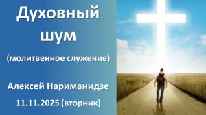 Духовный (религиозный) шум (дневное молитвенное). Алексей Нариманидзе. 11.11.2025 - вторник
