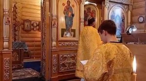 Воскресная Божественная Литургия храм Успение Пресвятой Богородицы с. Верхний Мамон16 ноября 2025г