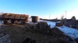 Финал эксперимента с сено.