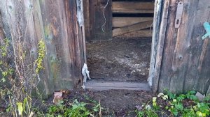 Зимний дом для гусей 🪿 Гуси переехали в новый дом 🤠