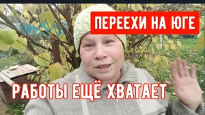 #124🏡Все в заморозку/Сделала себе шубу/Лечусь/Пересадила колеусы