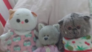 УТРО С БАСИКАМИ