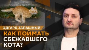 Эдгард Запашный. Поиск сбежавшего кота, массовая гибель тюленей и лечение зоофилии