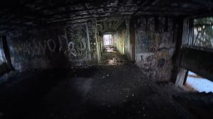 ВЫЛАЗКА В ДОМОДЕДОВСКИЙ РАЙОН 15.11.25