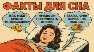 Факты для сна, чтобы быстро уснуть: Удивительные и интересные факты о мозге, теле и психике