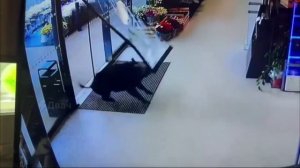 Дикая свинья увидела супермаркет в Европе