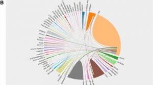 Ранолазин - тайная идентичность: анализ тенденций на основе библиометрических данных