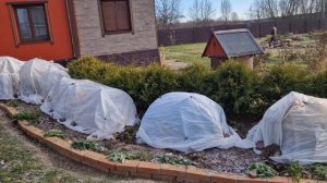 16 ноября 2025. завершение сезона