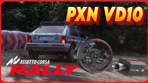 Настройки руля PXN VD10 Assetto Corsa Rally