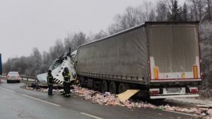 Аварии и ДТП на дорогах ТОРОПЫГИ за рулем