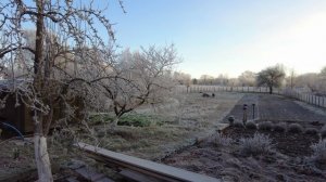 Первые заморозки Хоминка Беларусь 2025г.