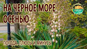 Туапсинская осень