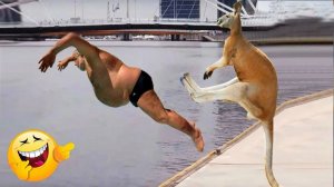 Я ржал до слез 😂 5 Минут смеха 2025 Смешные видео Лучшие Лютые ПРИКОЛЫ Ноября! Подборка