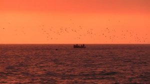 Самая красивая работа в мире это ловить рыбу на закате в Сочи