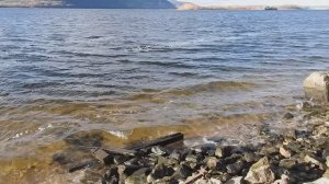 16.11.2025 САМАРА-ВОЛГА-41КМ.