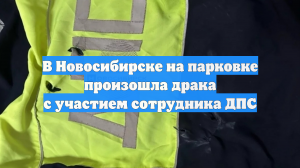 В Новосибирске на парковке произошла драка с участием сотрудника ДПС
