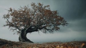 Морозец лёгкий ❄️❄️❄️.