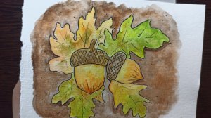 Рисунок акварелью / Желуди