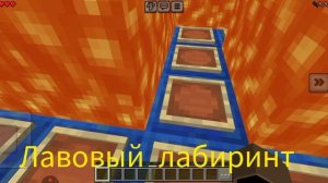 мой кот Зефир проходит лабиринт