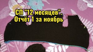 СП "12 месяцев". Отчёт 1 за ноябрь. Вяжу жилет с баской для невестки.