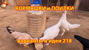 Кормушки и поилки для кур своими руками 218 🪚✂️ Пошаговая инструкция как сделать 🐔 🐓❣️