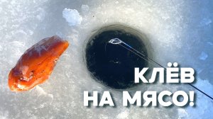 В ТЁМНОЙ ЛУНКЕ...ШАРАШИТ УДОЧКУ! Мясо первого льда! Зимняя рыбалка 2025