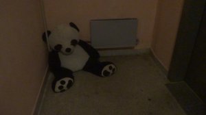 Пассажирские лифты V=1 м-с, Q=400 кг (5177)