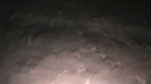 регулятор оборотов эл мотора