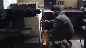 Вечер в деревне Затопил печь В СИБИРЬ ЗИМА ПРИШЛА Читаю комментарии зрителей ПОДВАЛ ИЛЬИЧА