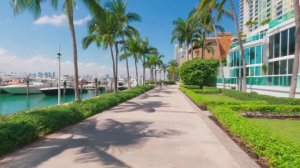 🇺🇸 🚴 Майями, США - 40 км по городу на велосипеде / 2025