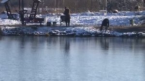 поимка осетра