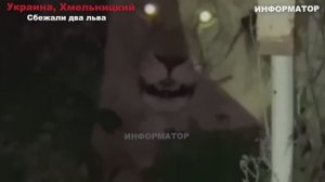 Новости_Сегодня_16_11_2025_Цунами_Россия,_Москва_Ураган,_Украина