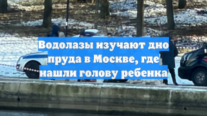 Водолазы изучают дно пруда в Москве, где нашли голову ребенка