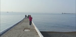 Стоит ли ехать в Сочи в ноябре-2025? Курорт в несезон может шокировать! Центральные пляжи Сочи